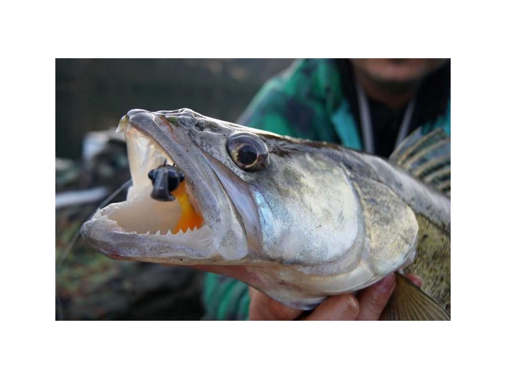 Non-snag  Jig 9 gr. Long 4/0